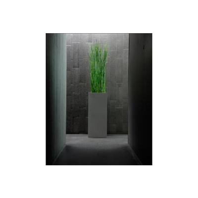 Equisetum in Säule, ca. 110 cm